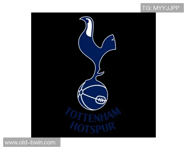 梦幻足球联盟徽标设计的创意与灵感探索之旅